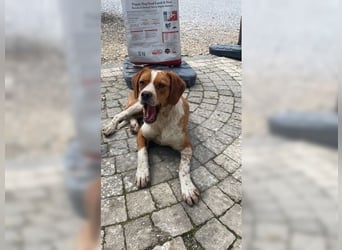 Sonnenschein Lady bringt Freude ins Leben