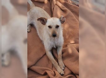 Minu, kleine, zarte, verspielte Zaubermaus