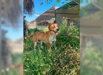 Sonnenschein Lady bringt Freude ins Leben