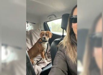 Sonnenschein Lady bringt Freude ins Leben