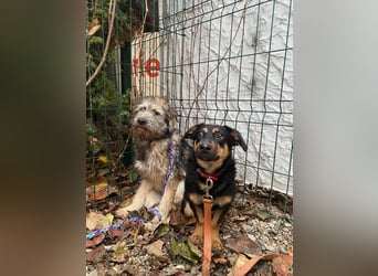 Kleine, schüchterne Rica sucht liebe Menschen