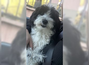 Tilly, Zaubermaus mit Handicap