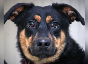 Kleine, schüchterne Rica sucht liebe Menschen