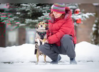 Kleine Maus LANA ist ein Schatz für jeden Besitzer