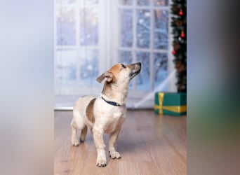 Ruhige CAMI hofft auf eine eigene Familie