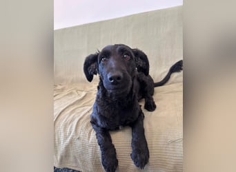 Tolle kluge Lea wartet auf Sie!