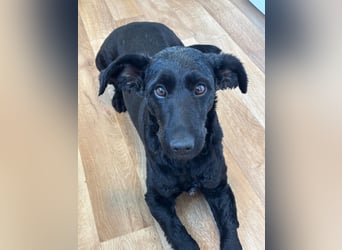 Tolle kluge Lea wartet auf Sie!