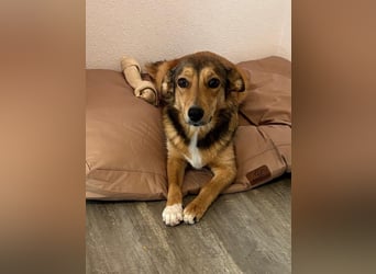 Süße NIUSCHA sucht eine nette Familie