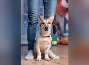 Ruhige CAMI hofft auf eine eigene Familie