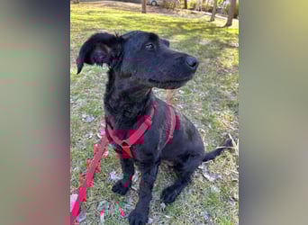 Tolle kluge Lea wartet auf Sie!