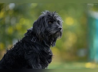 Genni sucht ihre Familie!