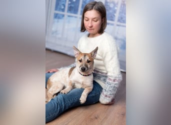 Ruhige CAMI hofft auf eine eigene Familie