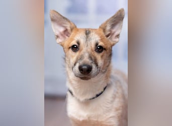 Ruhige CAMI hofft auf eine eigene Familie