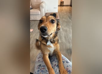 Süße NIUSCHA sucht eine nette Familie