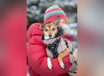 Kleine Maus LANA ist ein Schatz für jeden Besitzer