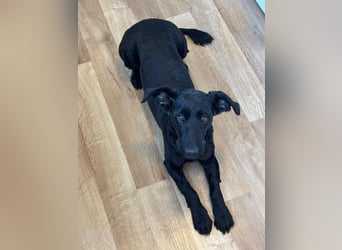 Tolle kluge Lea wartet auf Sie!