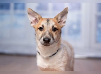 Ruhige CAMI hofft auf eine eigene Familie