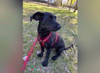 Tolle kluge Lea wartet auf Sie!