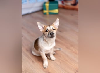 Ruhige CAMI hofft auf eine eigene Familie