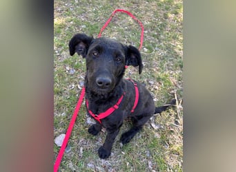 Tolle kluge Lea wartet auf Sie!