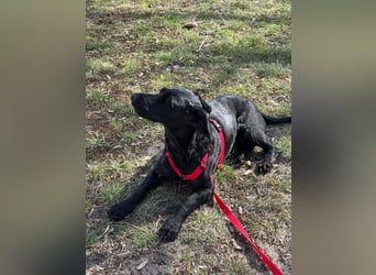 Tolle kluge Lea wartet auf Sie!