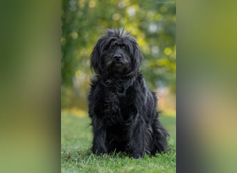 Genni sucht ihre Familie!