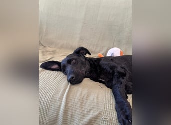 Tolle kluge Lea wartet auf Sie!