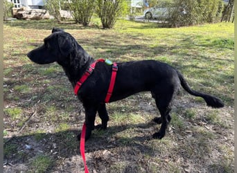 Tolle kluge Lea wartet auf Sie!