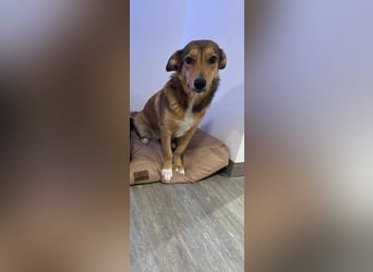 Süße NIUSCHA sucht eine nette Familie