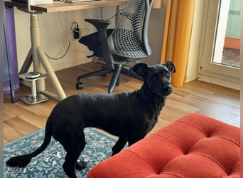 Tolle kluge Lea wartet auf Sie!