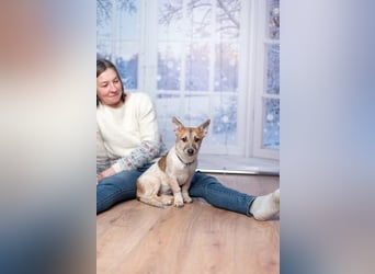 Ruhige CAMI hofft auf eine eigene Familie