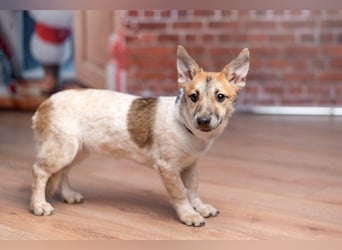 Ruhige CAMI hofft auf eine eigene Familie