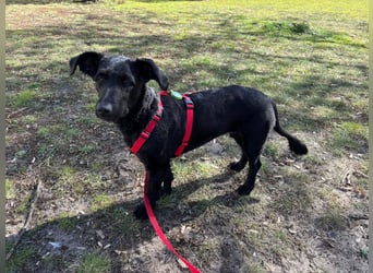 Tolle kluge Lea wartet auf Sie!