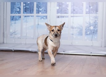 Ruhige CAMI hofft auf eine eigene Familie