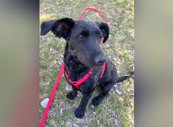 Tolle kluge Lea wartet auf Sie!