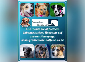 Kleine, schüchterne Rica sucht liebe Menschen