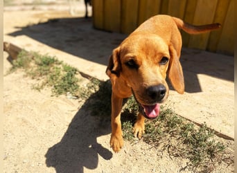 Zoro – Süßer Traumbursche sucht seine eigene Familie