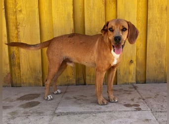 Zoro – Süßer Traumbursche sucht seine eigene Familie