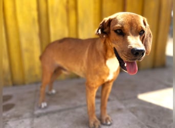 Zoro – Süßer Traumbursche sucht seine eigene Familie