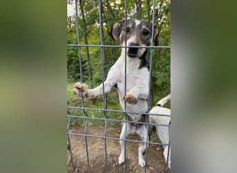 Tapfere Mama Madlen - will endlich geliebt werden