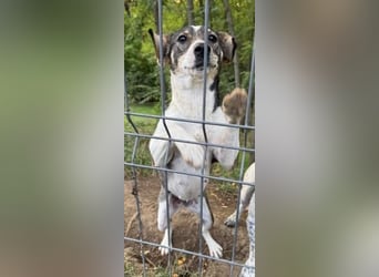 Tapfere Mama Madlen - will endlich geliebt werden