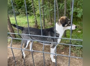 Tapfere Mama Madlen - will endlich geliebt werden