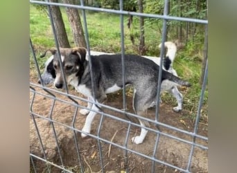 Tapfere Mama Madlen - will endlich geliebt werden
