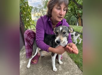 Tapfere Mama Madlen - will endlich geliebt werden