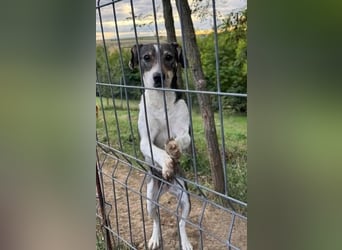 Tapfere Mama Madlen - will endlich geliebt werden
