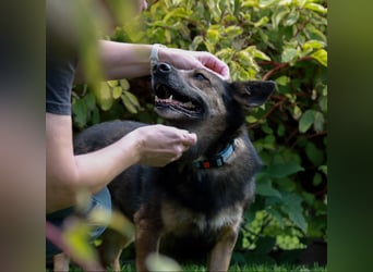 Wundervolle Eva sucht liebevolles Zuhause