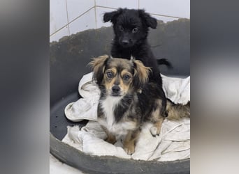 Melly - freundlich und aufgeschlossen