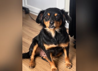 Lotti von kettenlos