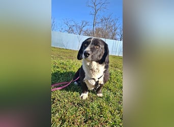 Daizy, eine freundliche kleine Lady