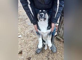 Agador, lieb und freundlich